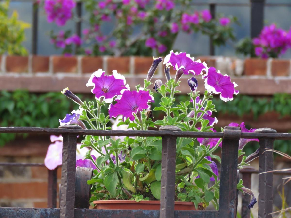 סנטה אנה Hotel Boutique Casa De Eunice מראה חיצוני תמונה